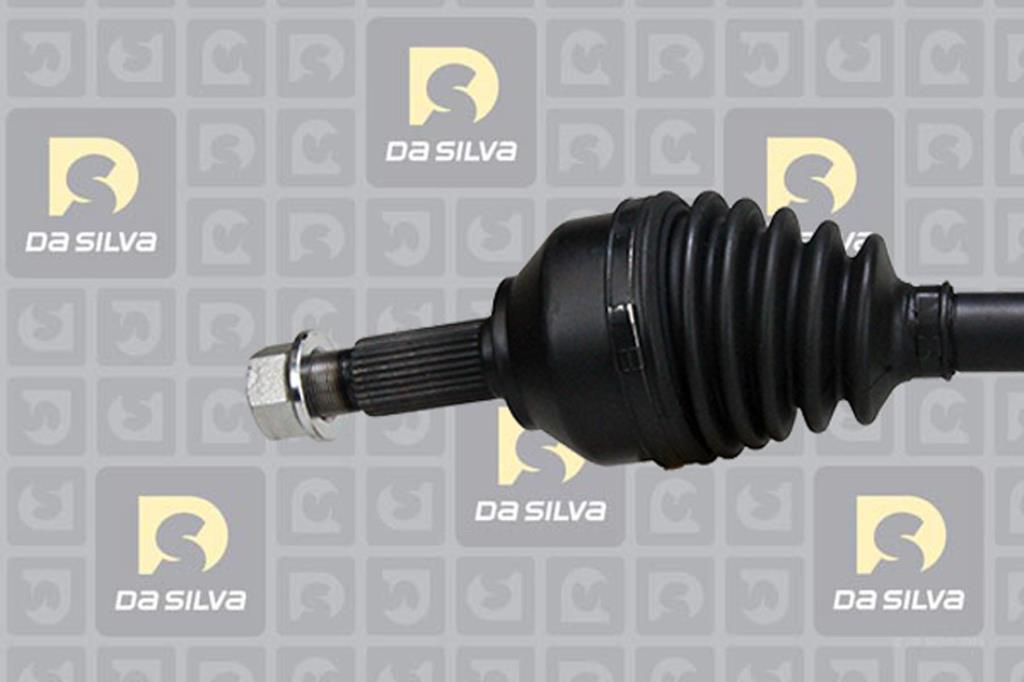 Cardã DA SILVA S.A.S. 96199T