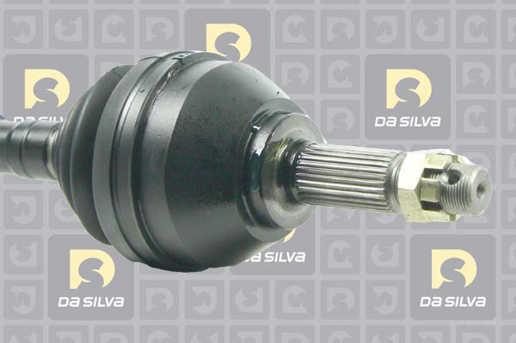 Cardan DA SILVA S.A.S. 96213T