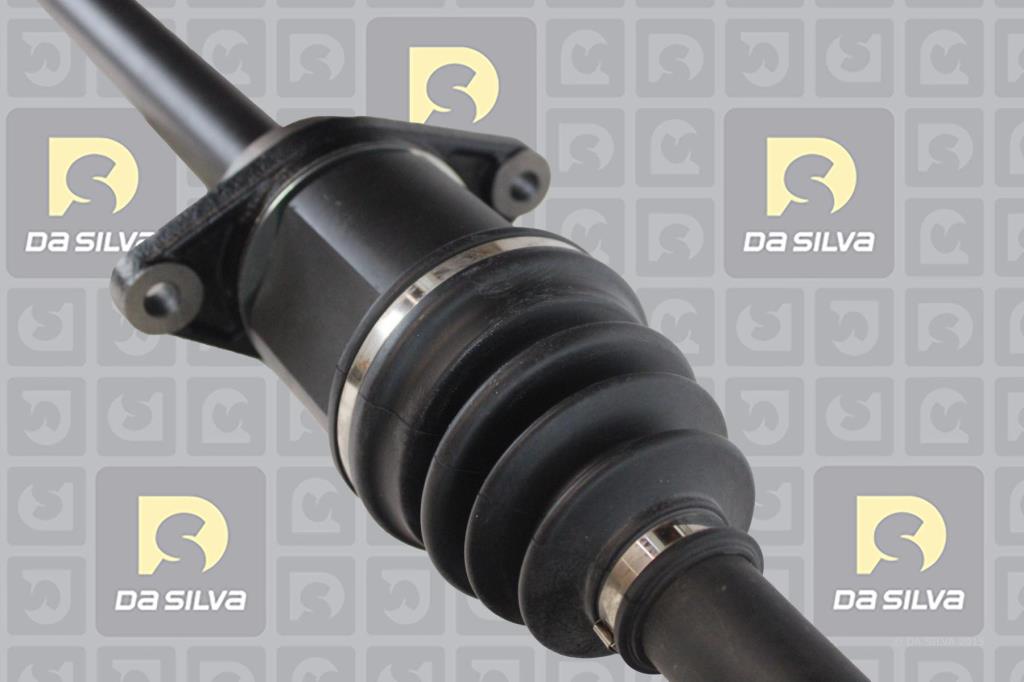 Cardan DA SILVA S.A.S. 96216T