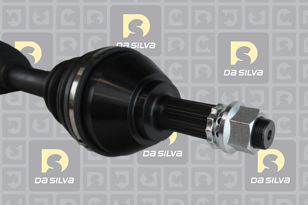 Cardan DA SILVA S.A.S. 96216T