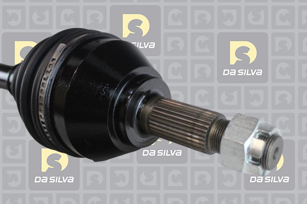 Cardan DA SILVA S.A.S. 96217T