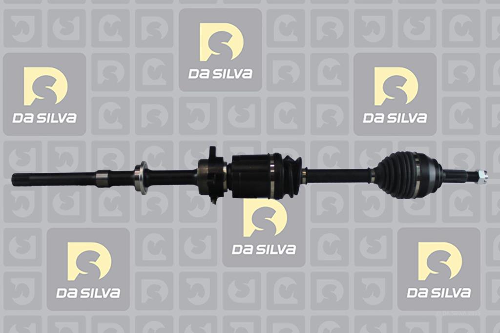 Cardã DA SILVA S.A.S. 96222T