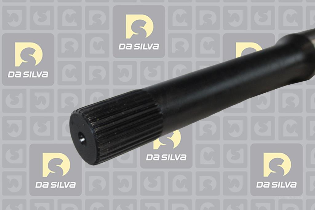 Cardã DA SILVA S.A.S. 96222T