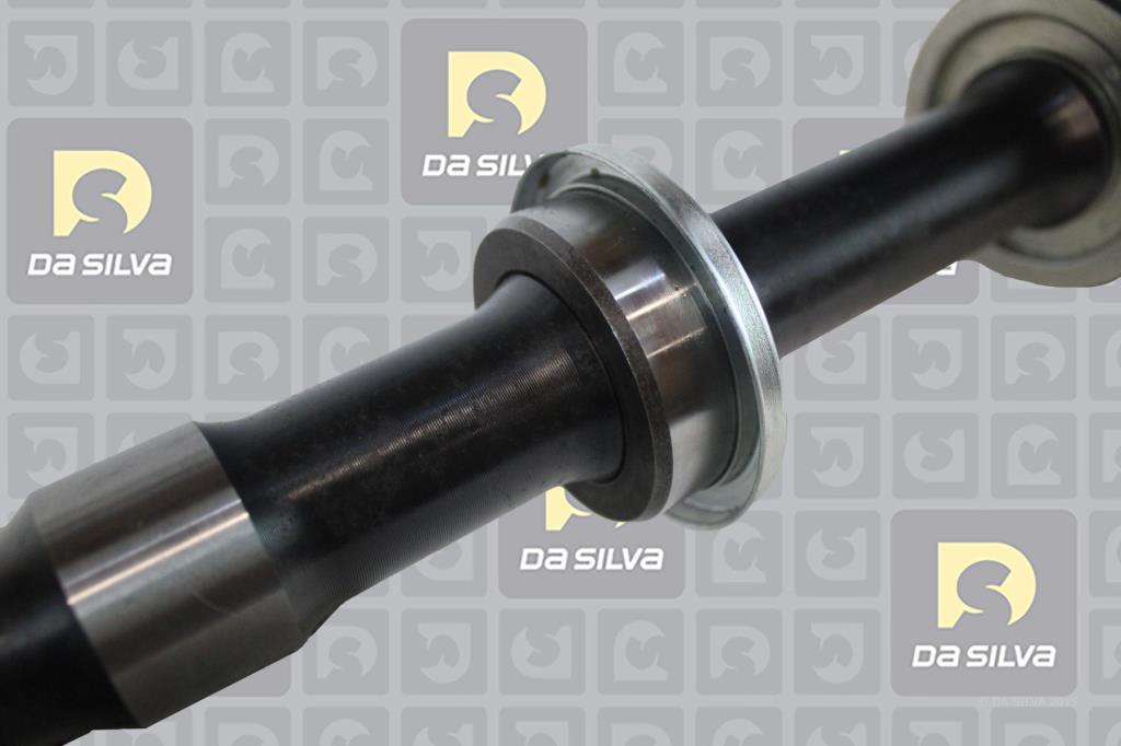 Cardã DA SILVA S.A.S. 96222T