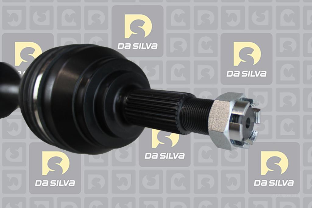 Cardã DA SILVA S.A.S. 96222T