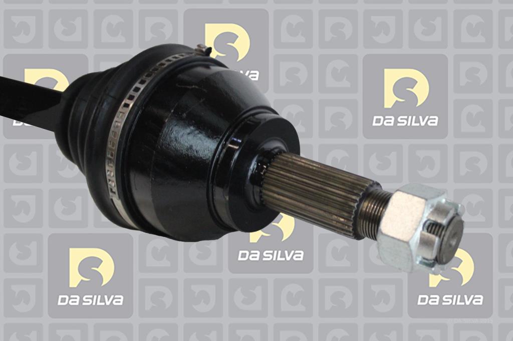 Cardan DA SILVA S.A.S. 96227T