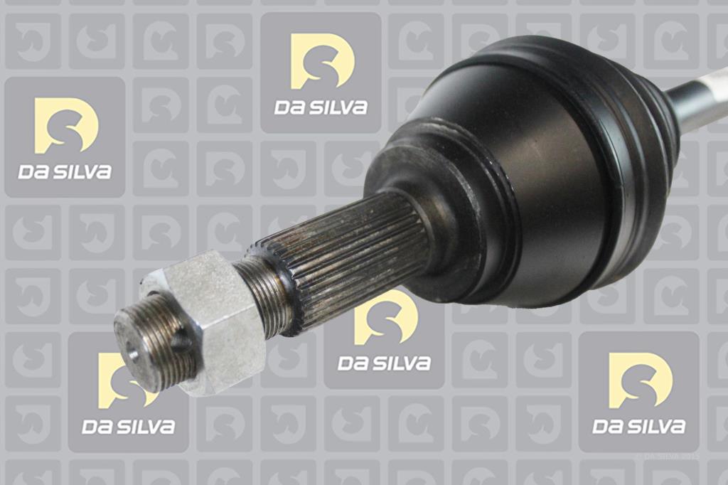 Cardã DA SILVA S.A.S. 96244T