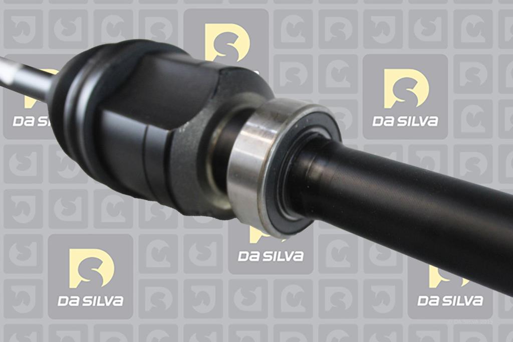 Cardã DA SILVA S.A.S. 96244T
