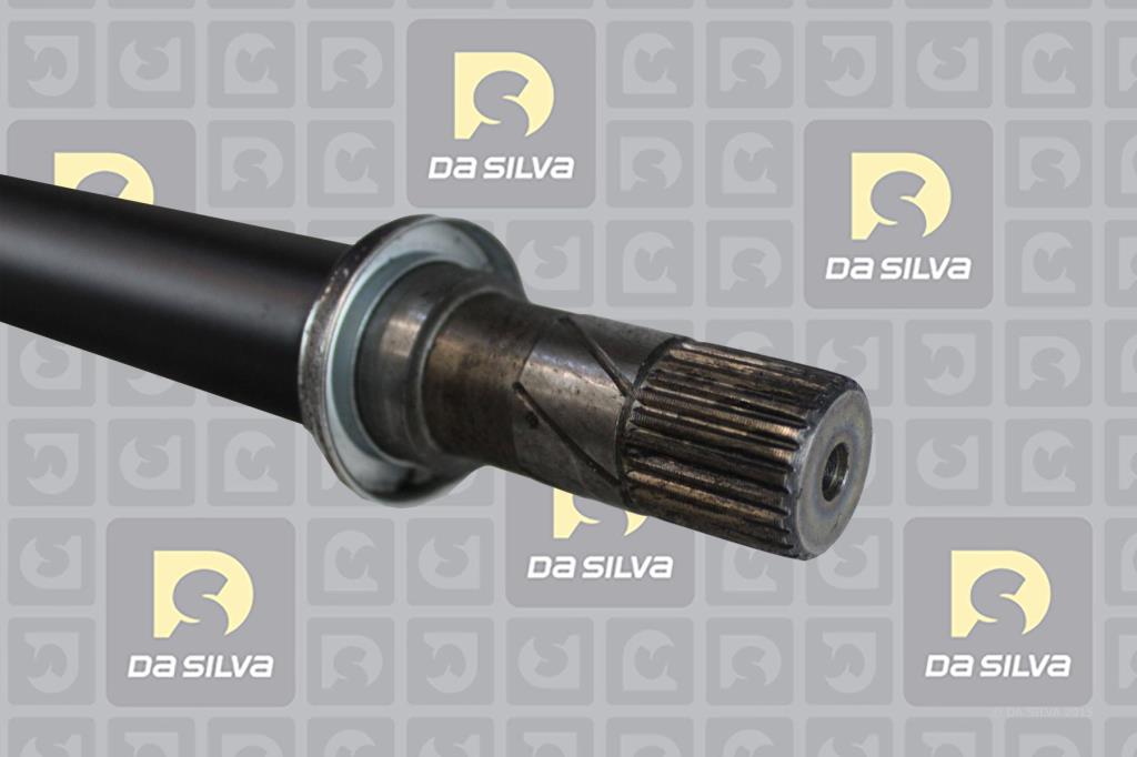 Cardã DA SILVA S.A.S. 96244T