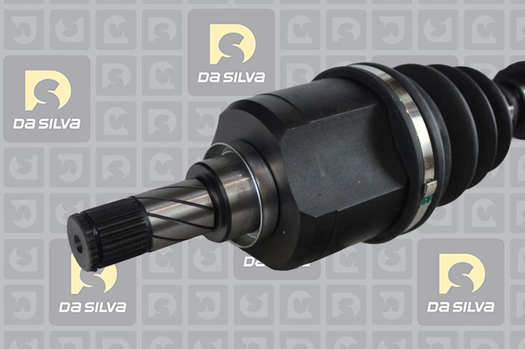 Cardan DA SILVA S.A.S. 96245T