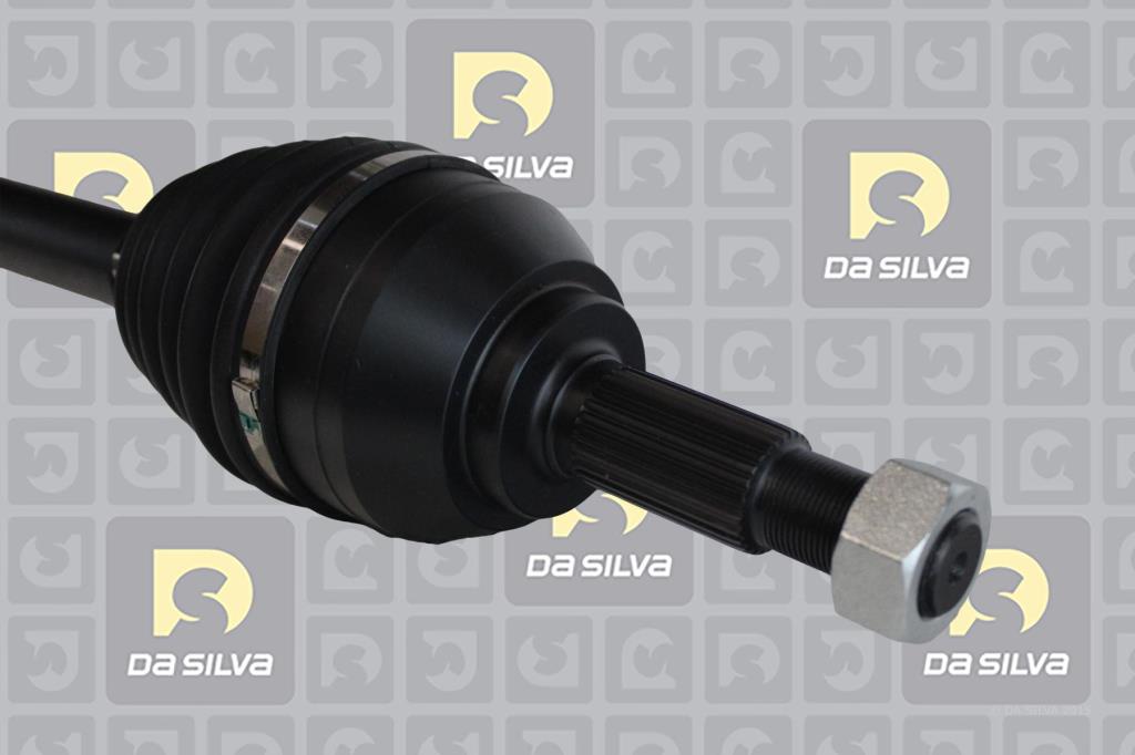 Cardan DA SILVA S.A.S. 96245T