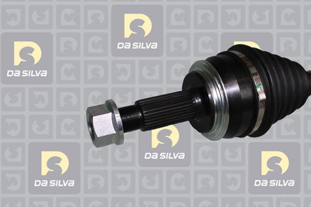 Cardan DA SILVA S.A.S. 96248T