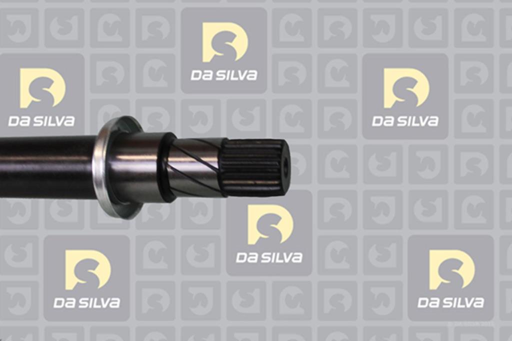 Cardan DA SILVA S.A.S. 96248T