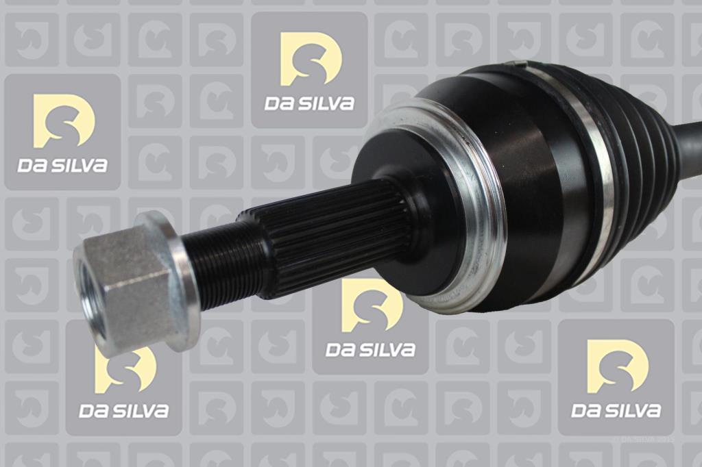 Cardan DA SILVA S.A.S. 96254T