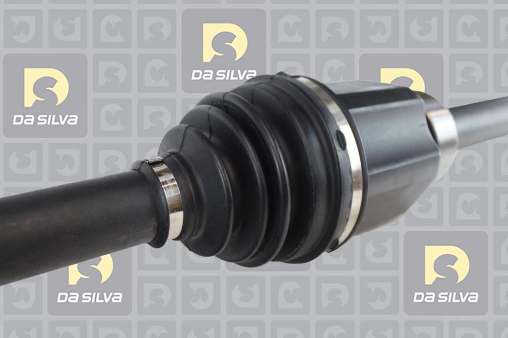 Cardan DA SILVA S.A.S. 96254T