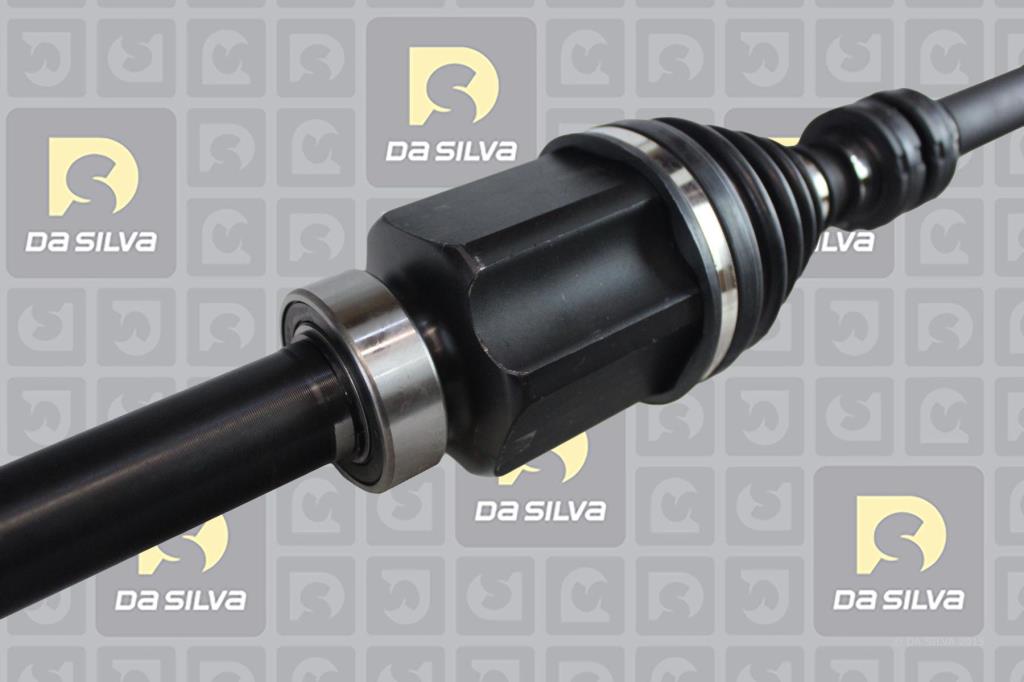 Cardan DA SILVA S.A.S. 96276T
