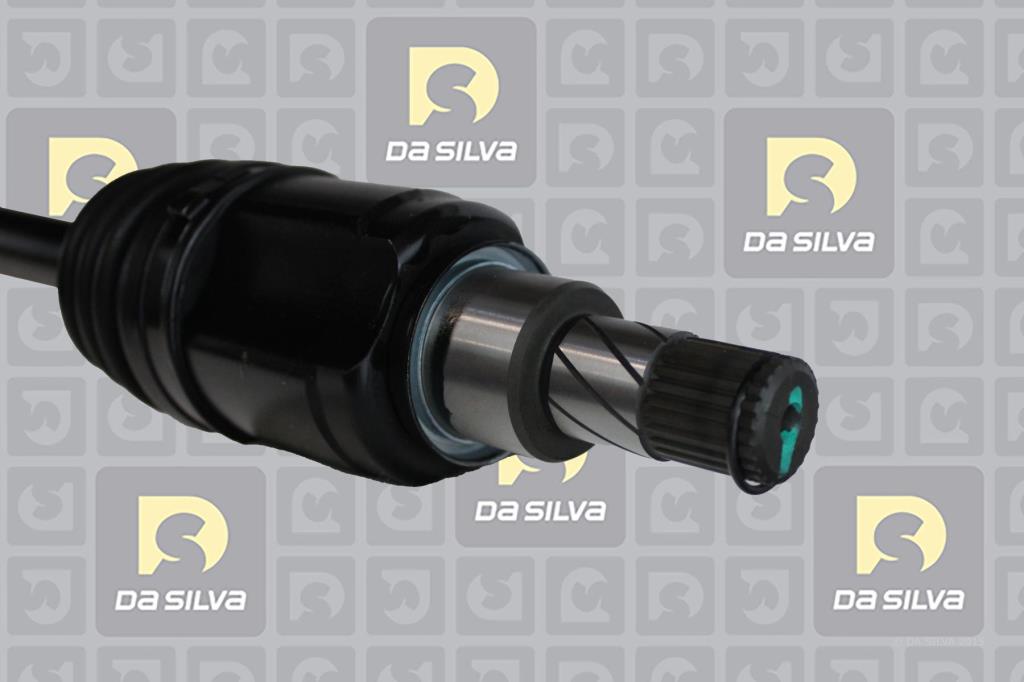 Cardan DA SILVA S.A.S. 96326T