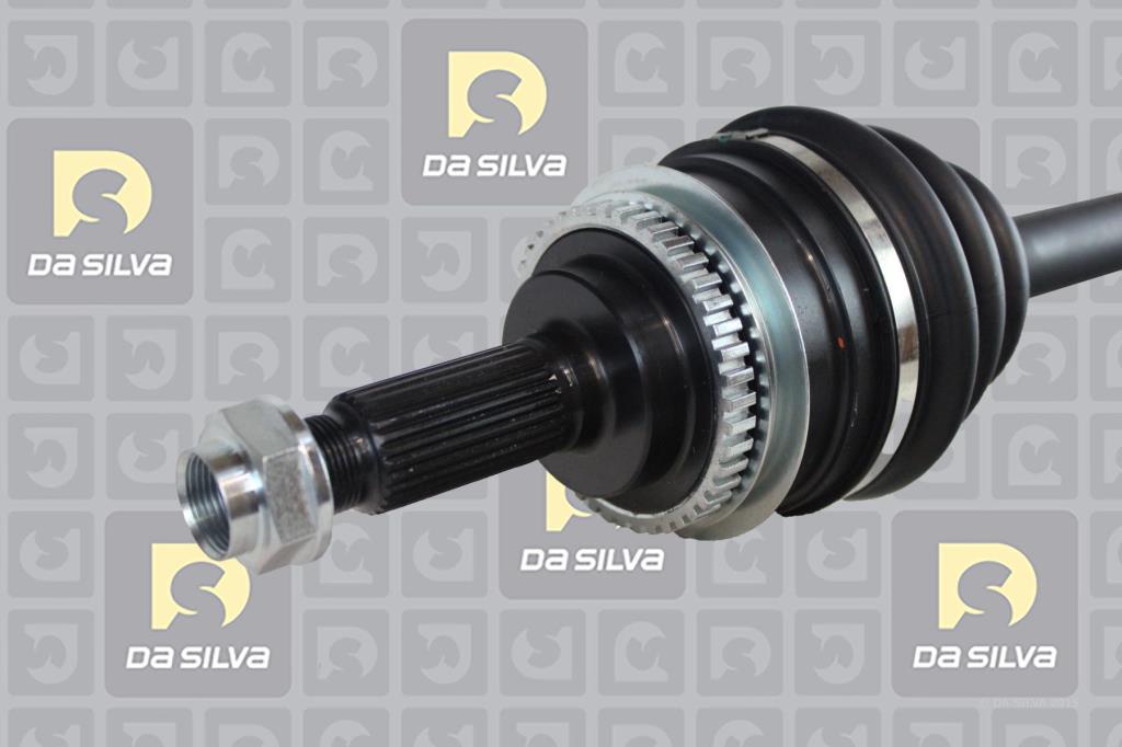 Cardã DA SILVA S.A.S. 97108AT