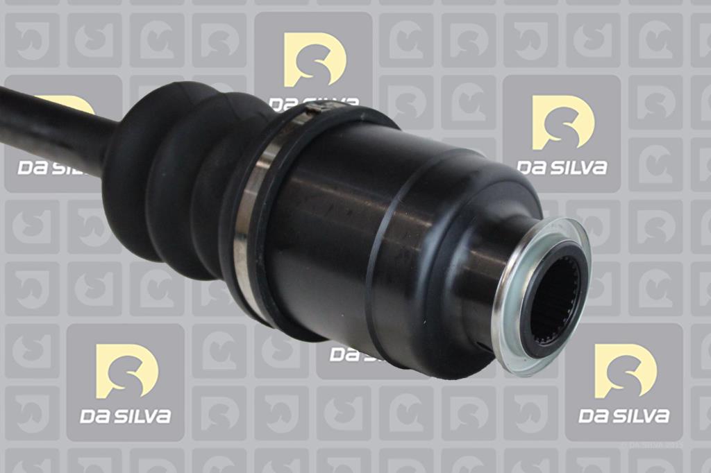 Cardã DA SILVA S.A.S. 97108AT