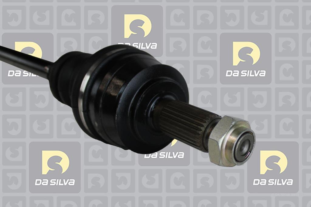 Cardã DA SILVA S.A.S. 97120T