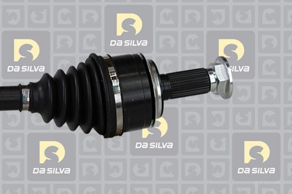 Cardã DA SILVA S.A.S. 98107T