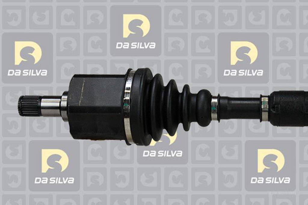 Cardã DA SILVA S.A.S. 98107T