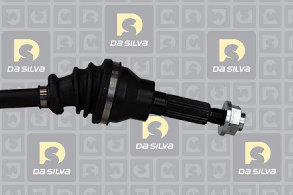 Cardã DA SILVA S.A.S. 98118T