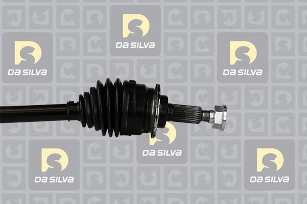 Cardan DA SILVA S.A.S. 98137T