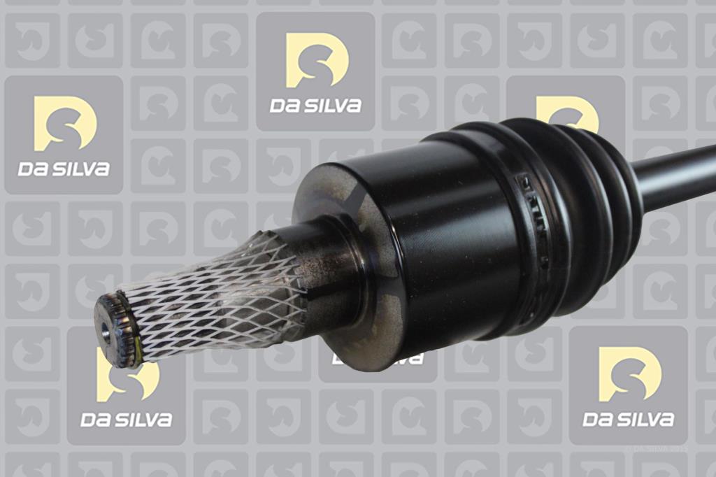 Cardan DA SILVA S.A.S. 98150AT