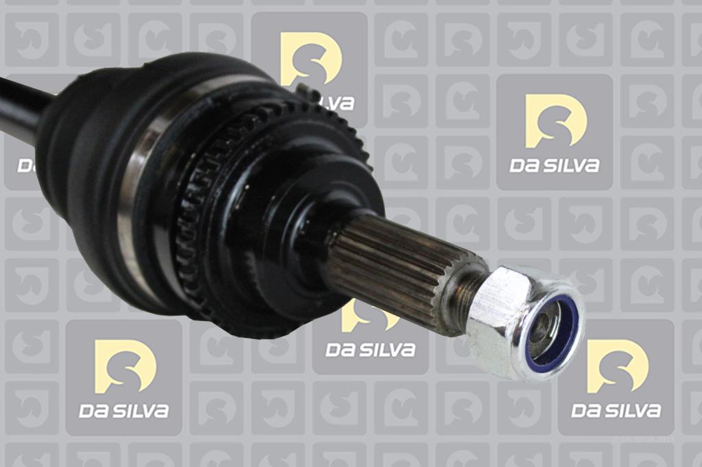 Cardã DA SILVA S.A.S. 98151AT