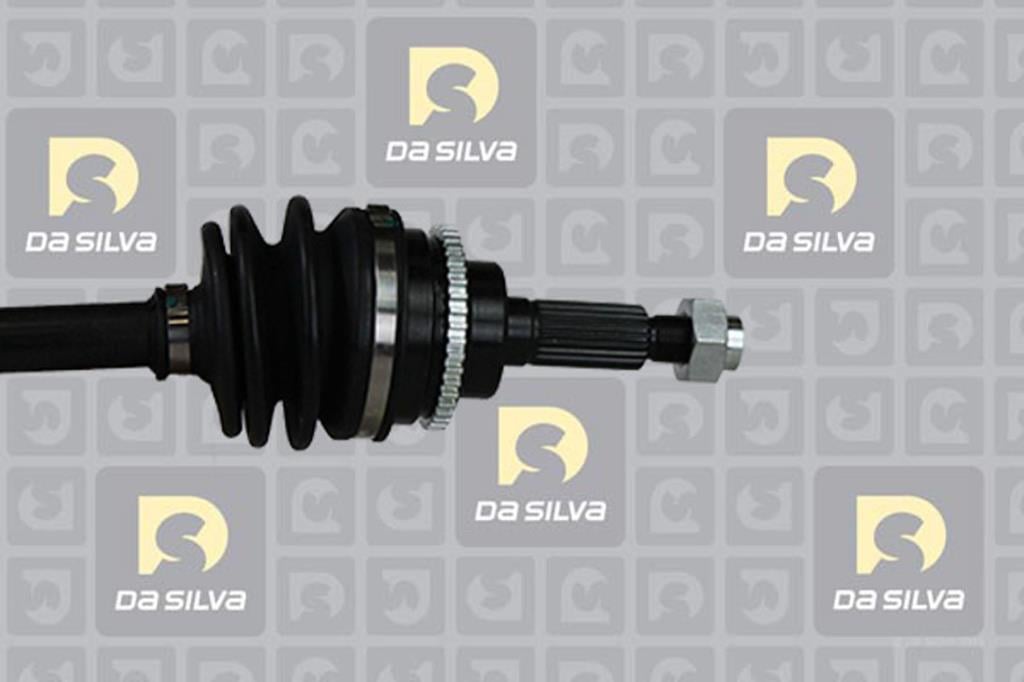 Cardan DA SILVA S.A.S. 98152AT