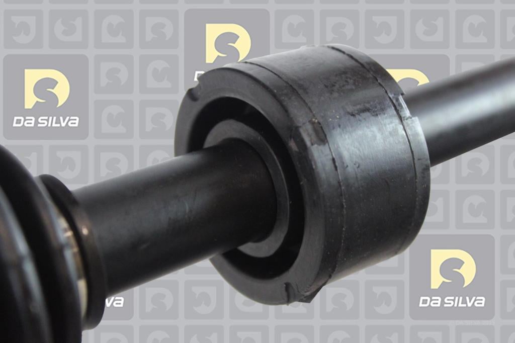Cardan DA SILVA S.A.S. 98162T