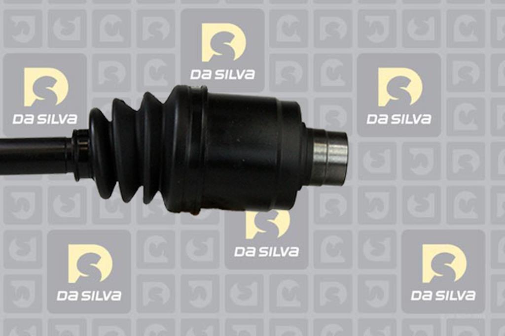 Cardan DA SILVA S.A.S. 98166AT