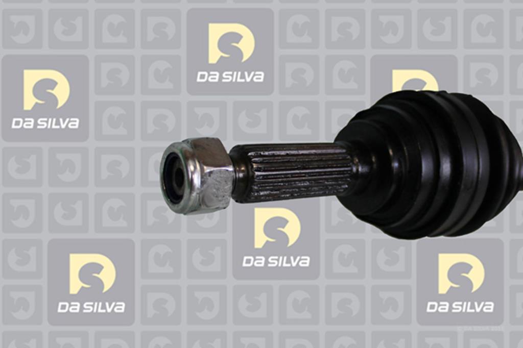 Cardã DA SILVA S.A.S. 98191T