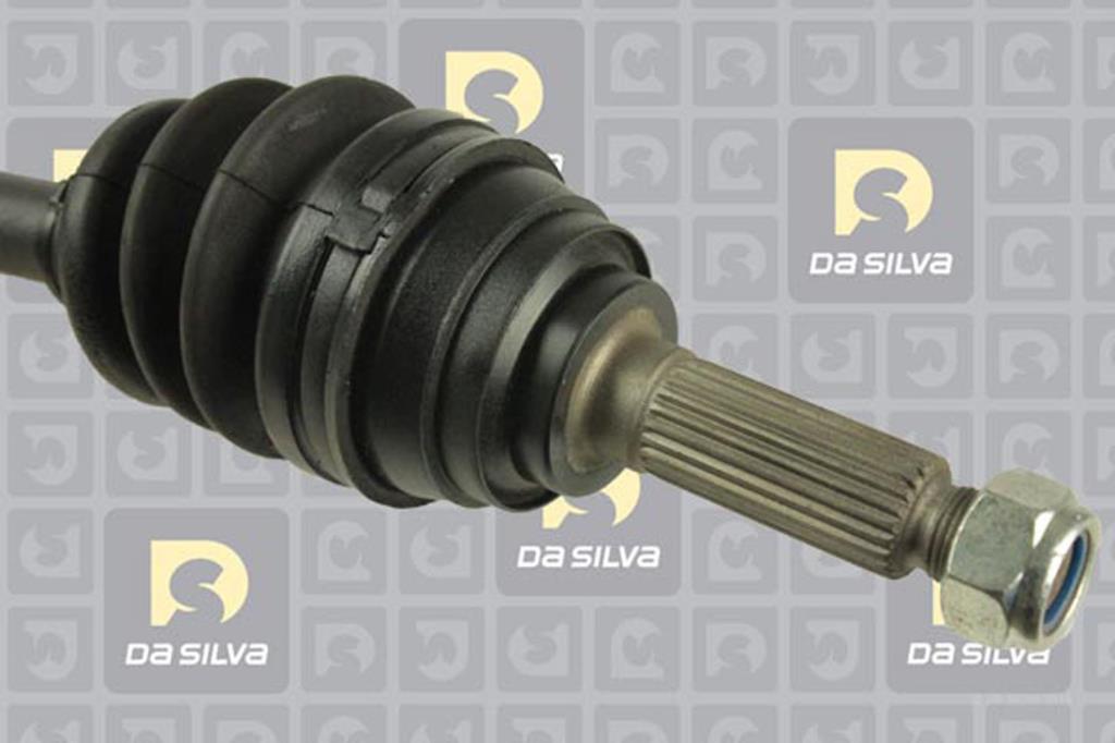 Cardan DA SILVA S.A.S. 98194T