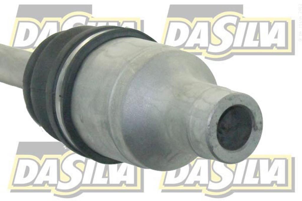Cardan DA SILVA S.A.S. 98207T