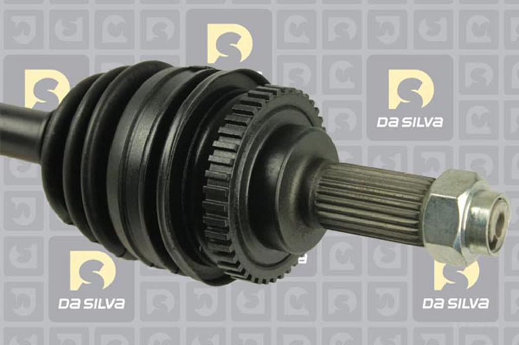 Cardan DA SILVA S.A.S. 98208AT