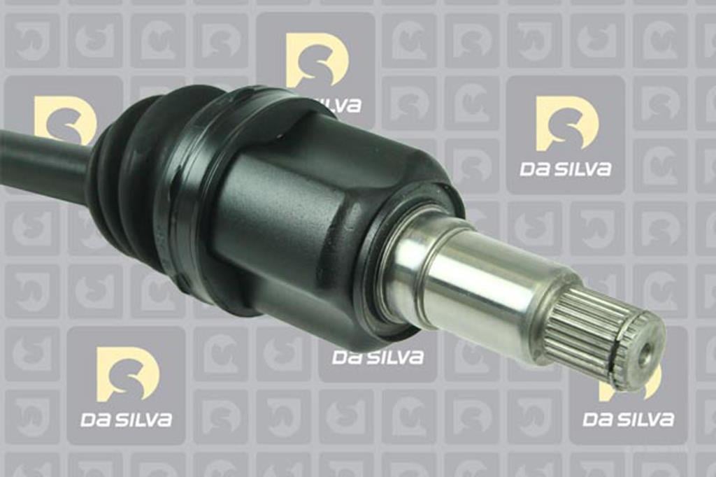 Cardan DA SILVA S.A.S. 98217T