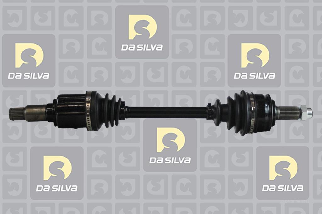 Cardan DA SILVA S.A.S. 98217T