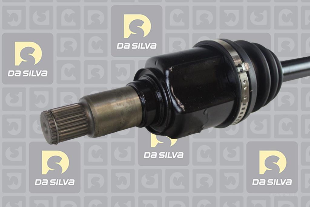 Cardan DA SILVA S.A.S. 98217T