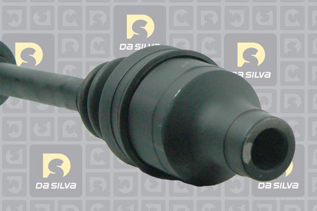 Cardan DA SILVA S.A.S. 98230AT