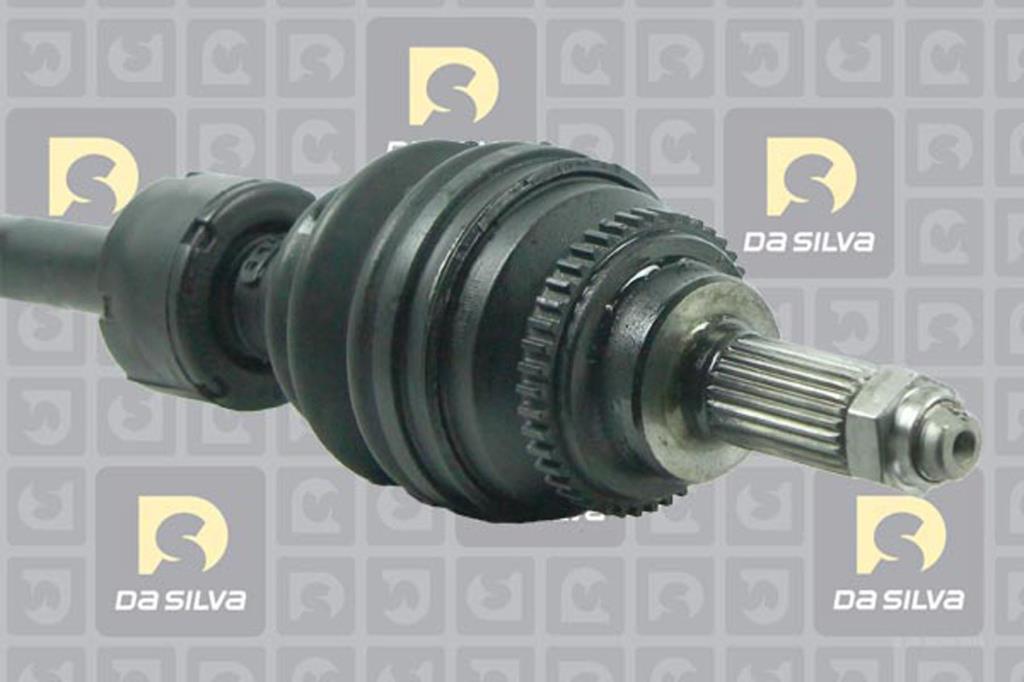 Cardan DA SILVA S.A.S. 98230AT