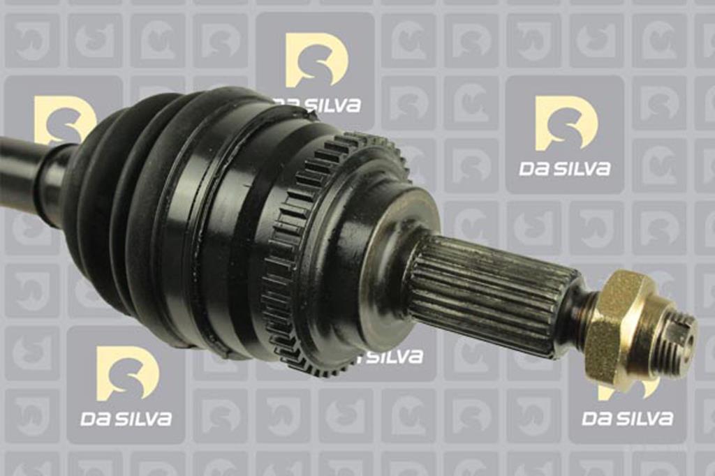Cardan DA SILVA S.A.S. 98246AT