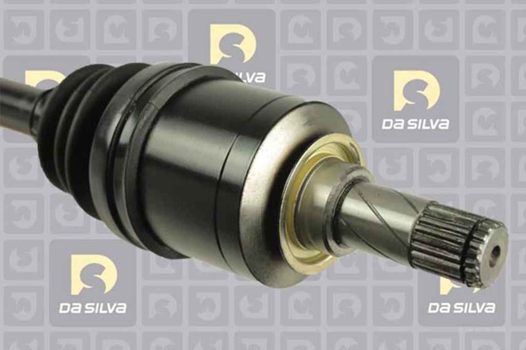 Cardan DA SILVA S.A.S. 98246AT