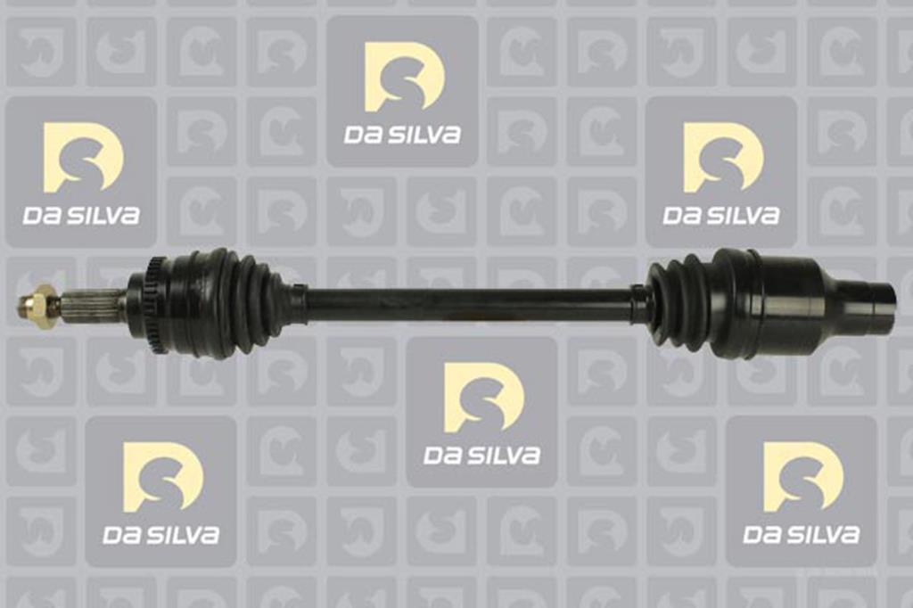 Cardan DA SILVA S.A.S. 98247AT