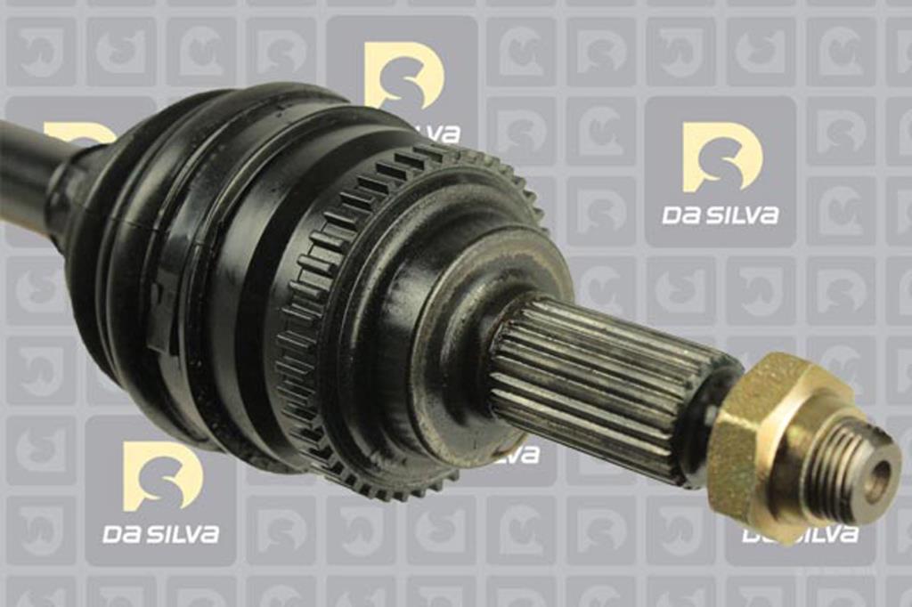Cardan DA SILVA S.A.S. 98247AT