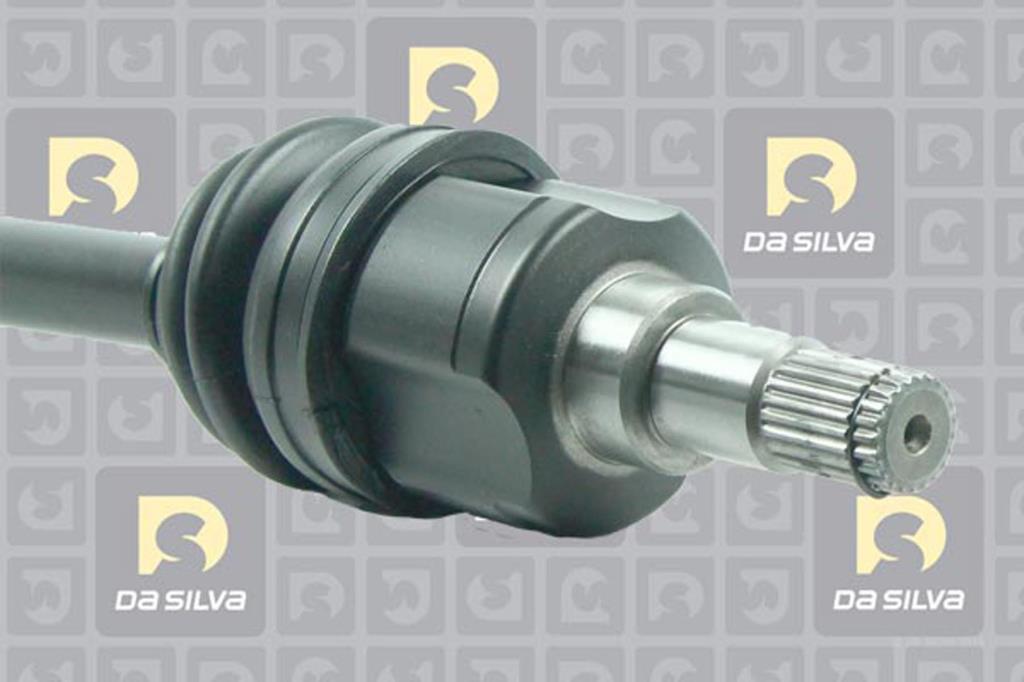 Cardan DA SILVA S.A.S. 98251AT
