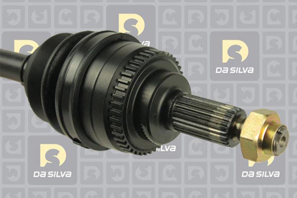 Cardã DA SILVA S.A.S. 98253AT