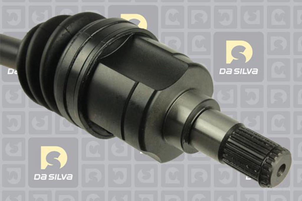 Cardã DA SILVA S.A.S. 98253AT