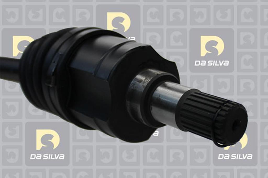 Cardan DA SILVA S.A.S. 98253T